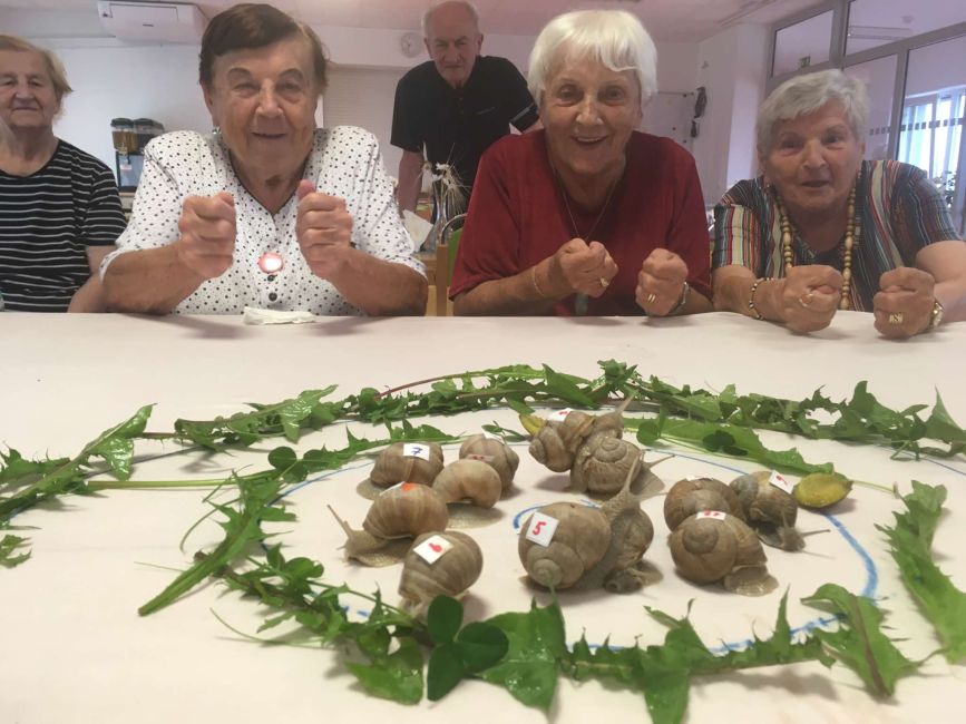 Hlemýždí závody v olomouckém SeniorCentru