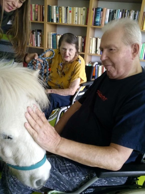 Poník Harýsek navštívil plzeňské SeniorCentrum