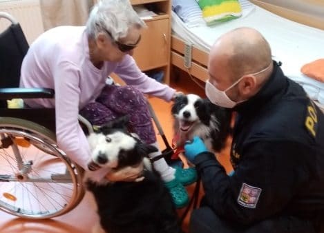 Čtyřnohá návštěva v SeniorCentru Plzeň