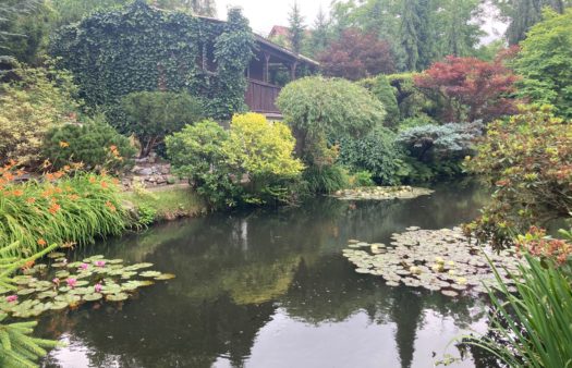 Návštěva Meditační zahrady s klienty SeniorCentra Plzeň