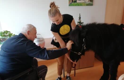 Koníci a další zvířata v SeniorCentru Slivenec