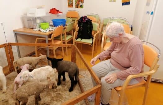 Velikonoční mláďátka v SeniorCentru Slivenec