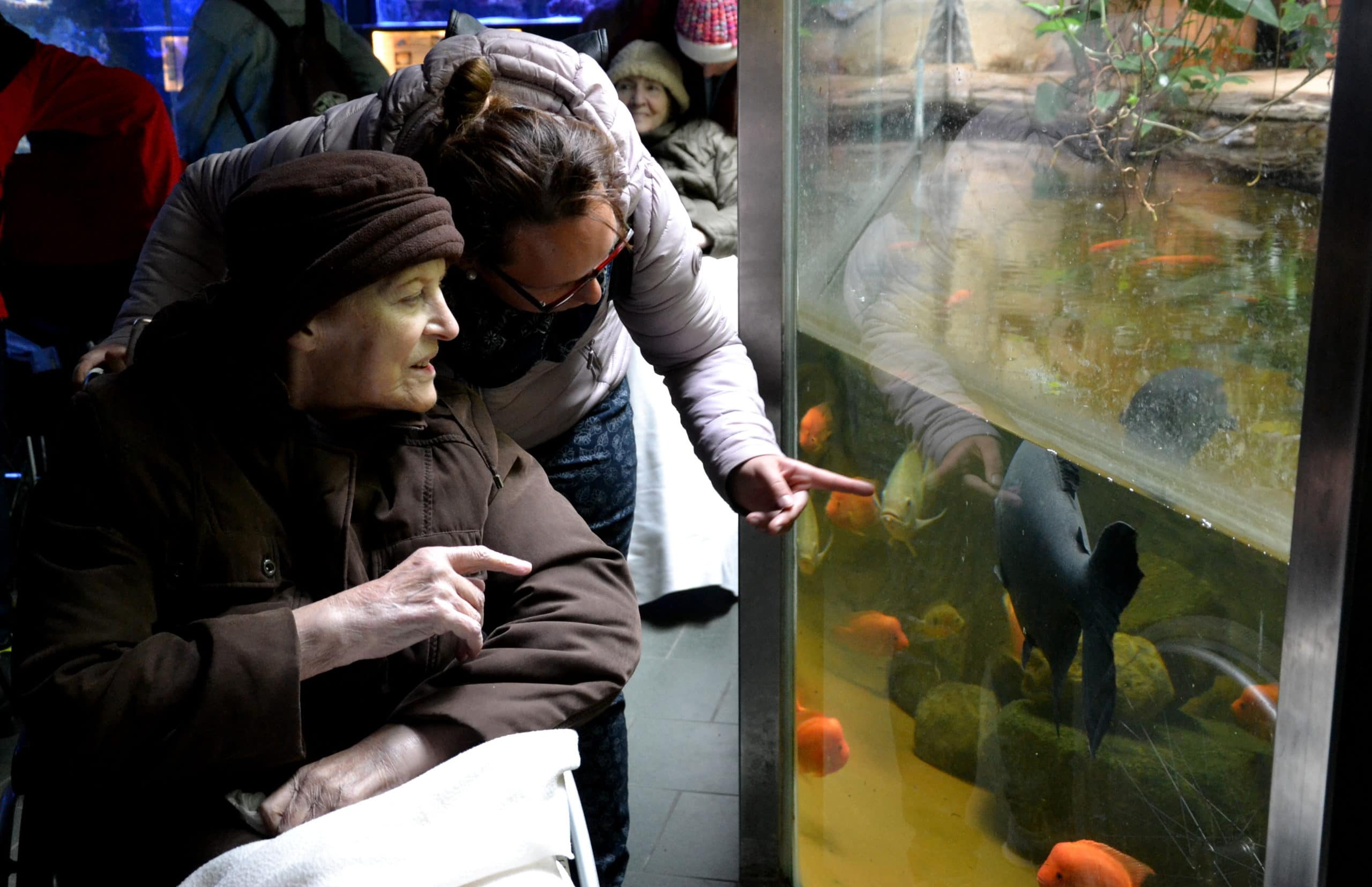 Výlet do ZOO s klienty domova se zvláštním režimem