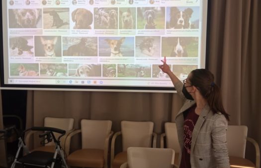 SeniorCentrum Šanov: Pes přítel člověka