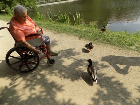 Hned pět přání najednou splnilo svým klientům SeniorCentrum Štěrboholy