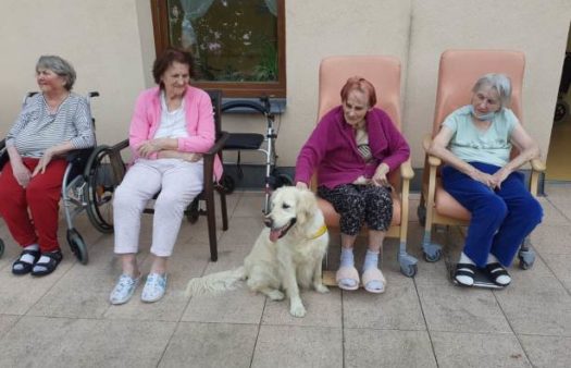 Canisterapie v SeniorCentru Písek