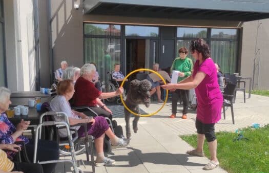 Canisterapie v SeniorCentru Chotěboř