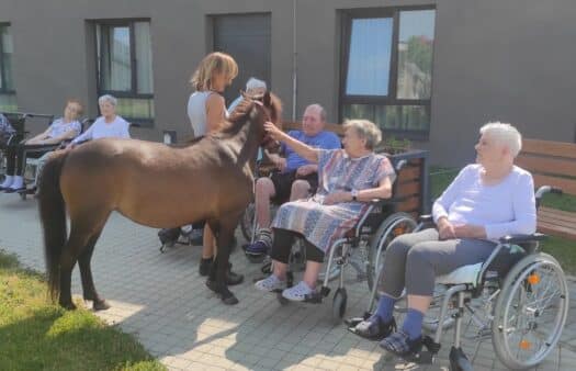 Hippoterapie v SeniorCentru Chotěboř