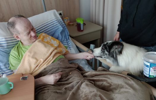 Canisterapie v SeniorCentru Humpolec