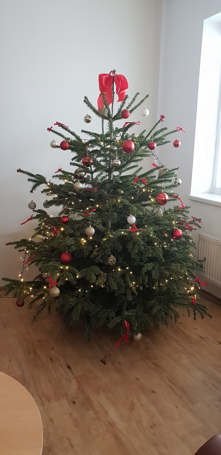 Zdobení vánočního stromku v Modřicích
