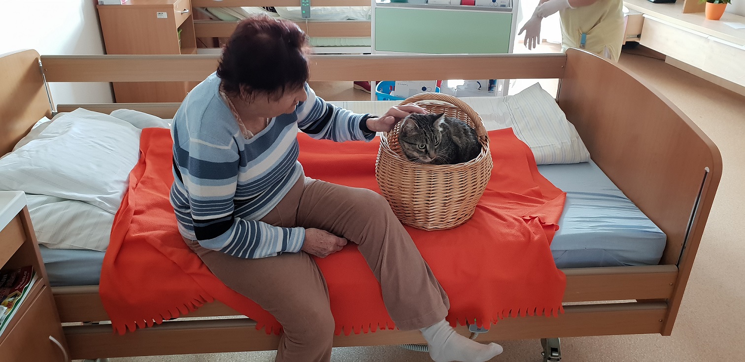 Felinoterapie a Canisterapie v SeniorCentru Modřice
