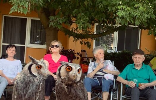 Exotické sovičky v SeniorCentru Modřice