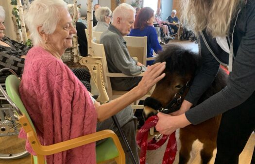 Ponyterapie v SeniorCentru Modřice