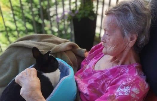 Zooterapie v SeniorCentru Chrudim