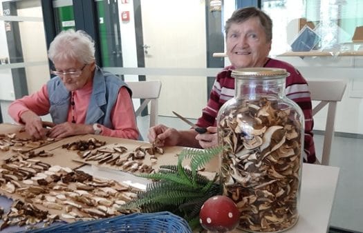 Houbaření v SeniorCentru Havířov