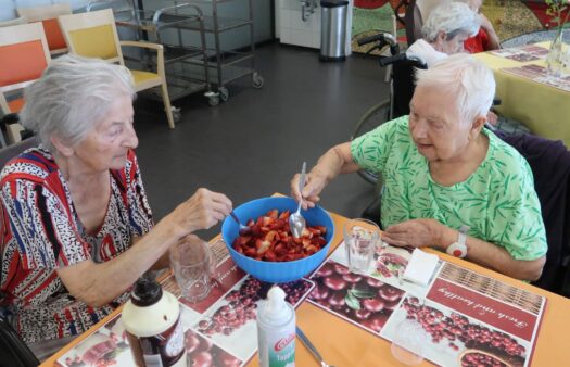 Jahodové mámení v SeniorCentru Havířov
