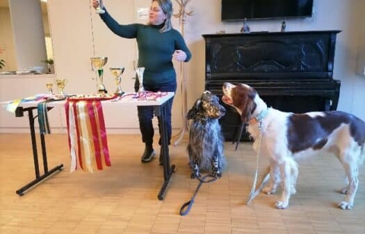 Představení psích šampionů v SeniorCentru Klamovka