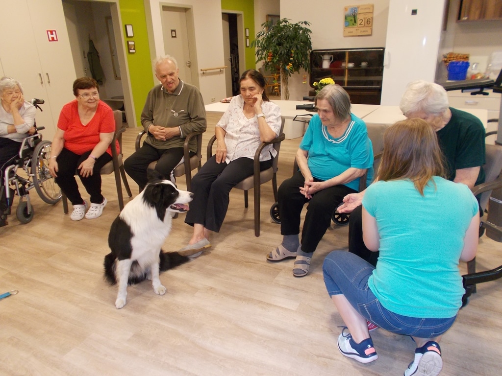 1. canisterapie v našem SeniorCentru.