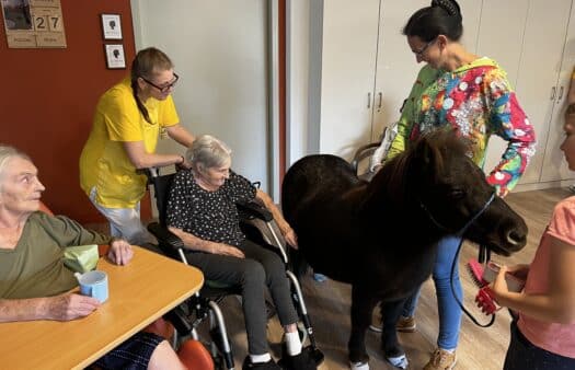 Návštěva poníka v SeniorCentru Kolín