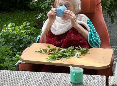 Příprava mátové limonády s klienty SeniorCentra Kolín