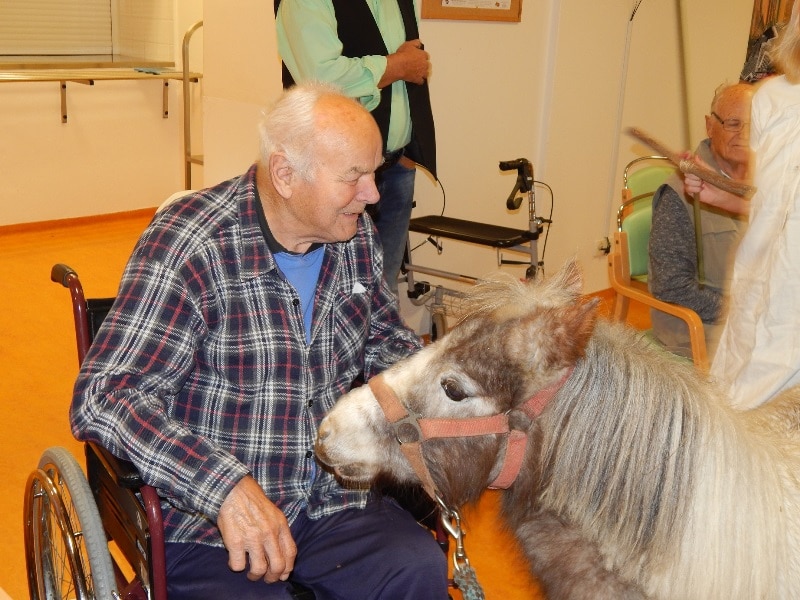 Do SeniorCentra v Terezíně přijel Martin na bílém koni