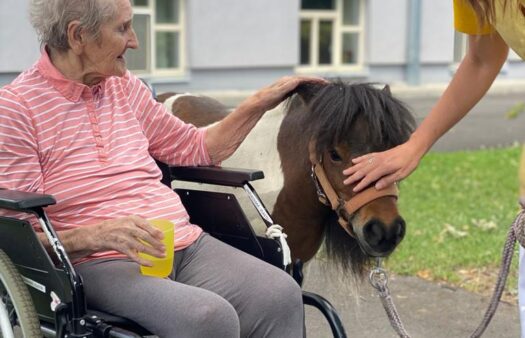 Poníci v našem SeniorCentru Terezín